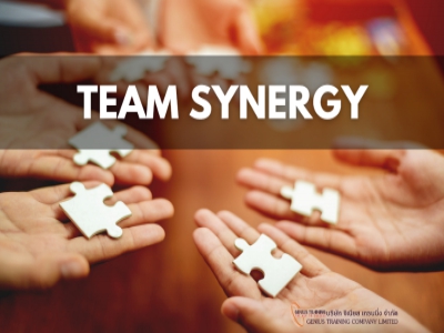 พลังแห่งการทำงานเป็นทีม - TEAM SYNERGY